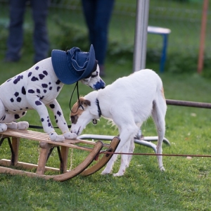 DSC6336x800