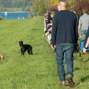 img20181014-095606_x1000