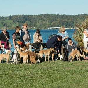 img20181014-100931_x1000