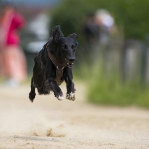 Windsprite-Treffen-2023-100 Windsprite-Treffen-2023-100