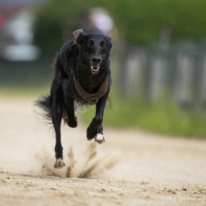 Windsprite-Treffen-2023-101