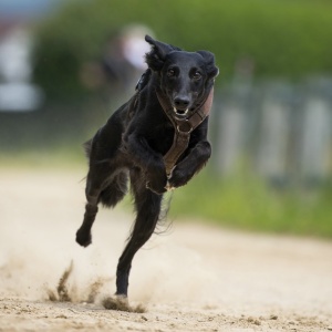 Windsprite-Treffen-2023-102