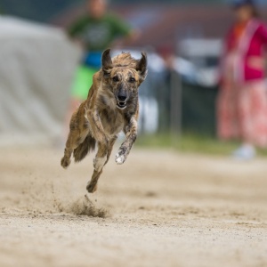 Windsprite-Treffen-2023-103