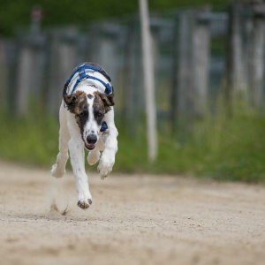 Windsprite-Treffen-2023-108