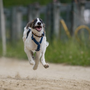Windsprite-Treffen-2023-109 Windsprite-Treffen-2023-109