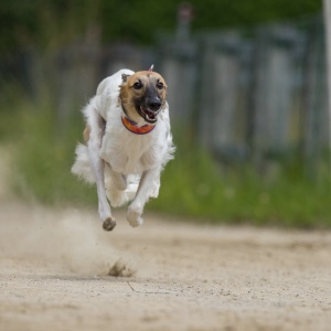Windsprite-Treffen-2023-110