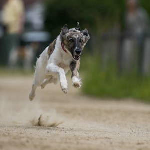 Windsprite-Treffen-2023-113