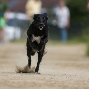 Windsprite-Treffen-2023-116 Windsprite-Treffen-2023-116