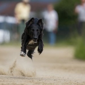 Windsprite-Treffen-2023-117