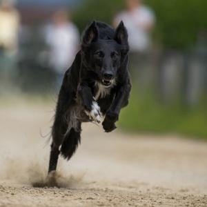 Windsprite-Treffen-2023-118 Windsprite-Treffen-2023-118