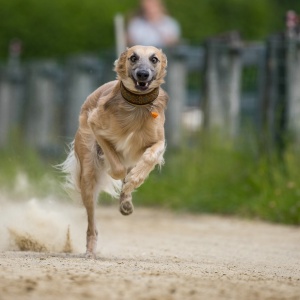 Windsprite-Treffen-2023-119 Windsprite-Treffen-2023-119