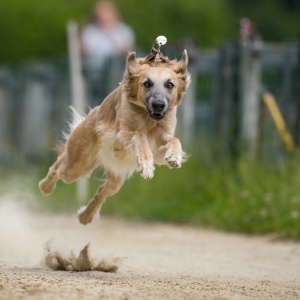 Windsprite-Treffen-2023-120 Windsprite-Treffen-2023-120