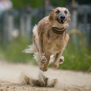 Windsprite-Treffen-2023-121 Windsprite-Treffen-2023-121