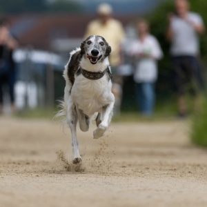 Windsprite-Treffen-2023-122 Windsprite-Treffen-2023-122