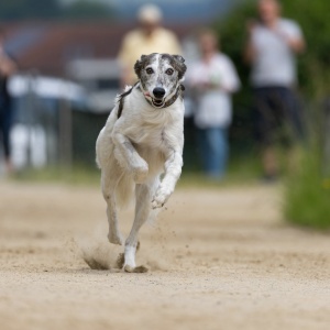 Windsprite-Treffen-2023-123 Windsprite-Treffen-2023-123