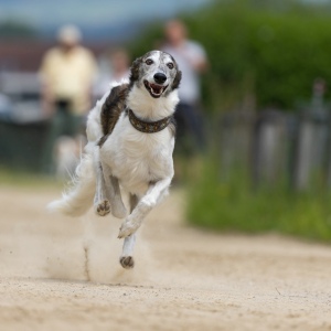 Windsprite-Treffen-2023-124 Windsprite-Treffen-2023-124