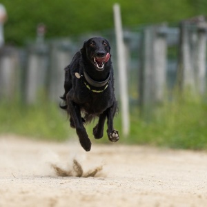 Windsprite-Treffen-2023-125 Windsprite-Treffen-2023-125