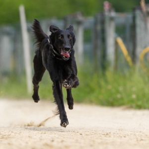 Windsprite-Treffen-2023-126 Windsprite-Treffen-2023-126