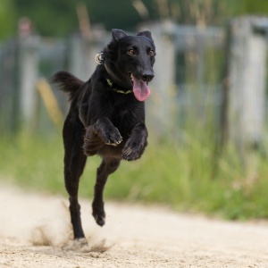 Windsprite-Treffen-2023-127 Windsprite-Treffen-2023-127