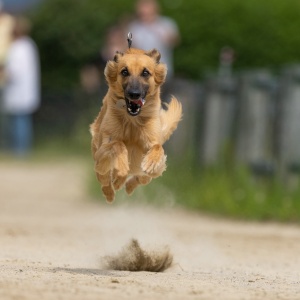 Windsprite-Treffen-2023-128 Windsprite-Treffen-2023-128