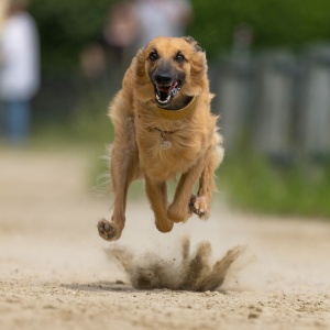 Windsprite-Treffen-2023-129 Windsprite-Treffen-2023-129