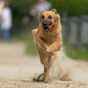 Windsprite-Treffen-2023-130 Windsprite-Treffen-2023-130