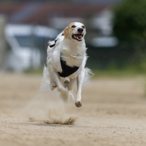 Windsprite-Treffen-2023-131 Windsprite-Treffen-2023-131
