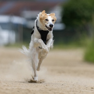 Windsprite-Treffen-2023-132 Windsprite-Treffen-2023-132