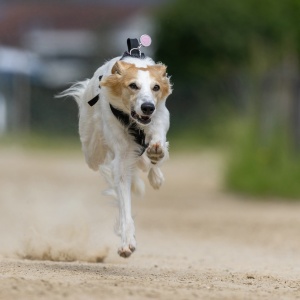 Windsprite-Treffen-2023-133 Windsprite-Treffen-2023-133