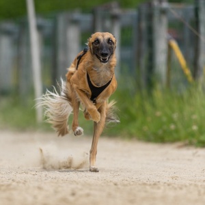 Windsprite-Treffen-2023-134 Windsprite-Treffen-2023-134