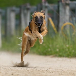 Windsprite-Treffen-2023-135 Windsprite-Treffen-2023-135