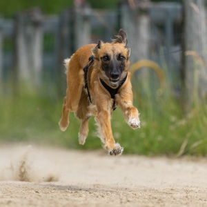 Windsprite-Treffen-2023-136 Windsprite-Treffen-2023-136