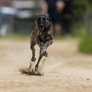 Windsprite-Treffen-2023-137 Windsprite-Treffen-2023-137