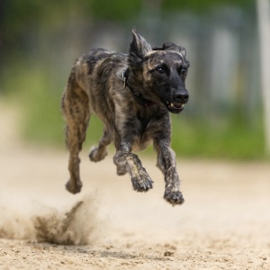 Windsprite-Treffen-2023-138 Windsprite-Treffen-2023-138