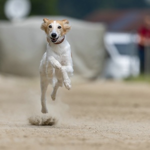 Windsprite-Treffen-2023-142 Windsprite-Treffen-2023-142
