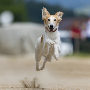 Windsprite-Treffen-2023-144 Windsprite-Treffen-2023-144