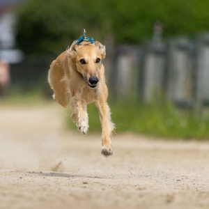 Windsprite-Treffen-2023-145 Windsprite-Treffen-2023-145