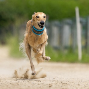 Windsprite-Treffen-2023-146 Windsprite-Treffen-2023-146