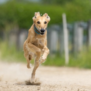 Windsprite-Treffen-2023-147 Windsprite-Treffen-2023-147