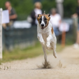 Windsprite-Treffen-2023-148 Windsprite-Treffen-2023-148