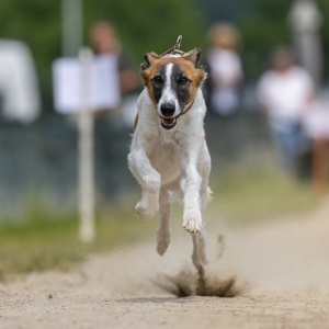 Windsprite-Treffen-2023-149 Windsprite-Treffen-2023-149