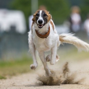 Windsprite-Treffen-2023-150 Windsprite-Treffen-2023-150