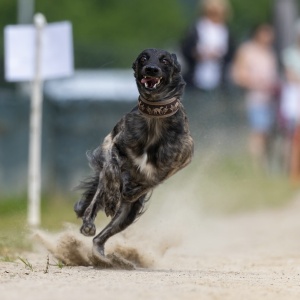 Windsprite-Treffen-2023-151 Windsprite-Treffen-2023-151