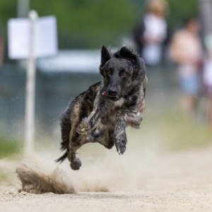 Windsprite-Treffen-2023-152 Windsprite-Treffen-2023-152