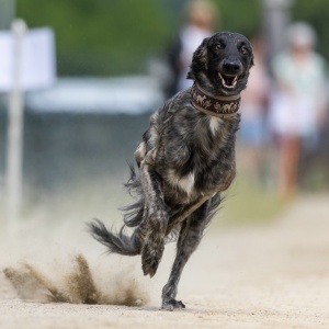 Windsprite-Treffen-2023-153 Windsprite-Treffen-2023-153
