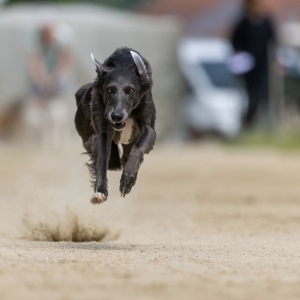 Windsprite-Treffen-2023-154 Windsprite-Treffen-2023-154