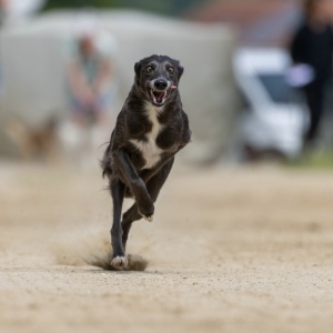 Windsprite-Treffen-2023-155 Windsprite-Treffen-2023-155