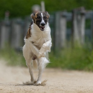 Windsprite-Treffen-2023-158 Windsprite-Treffen-2023-158