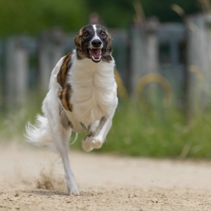 Windsprite-Treffen-2023-159 Windsprite-Treffen-2023-159