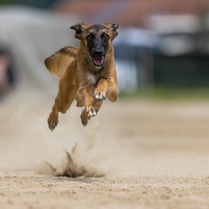 Windsprite-Treffen-2023-160 Windsprite-Treffen-2023-160